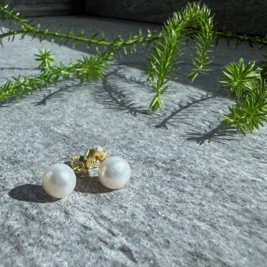 Gėlavandenių perlų auskarai PERLŲ AKUTĖS 5