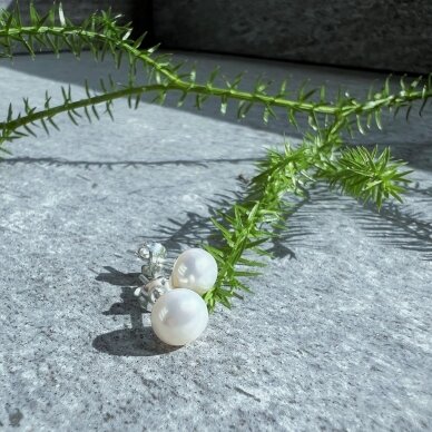 Gėlavandenių perlų auskarai PERLŲ AKUTĖS 4